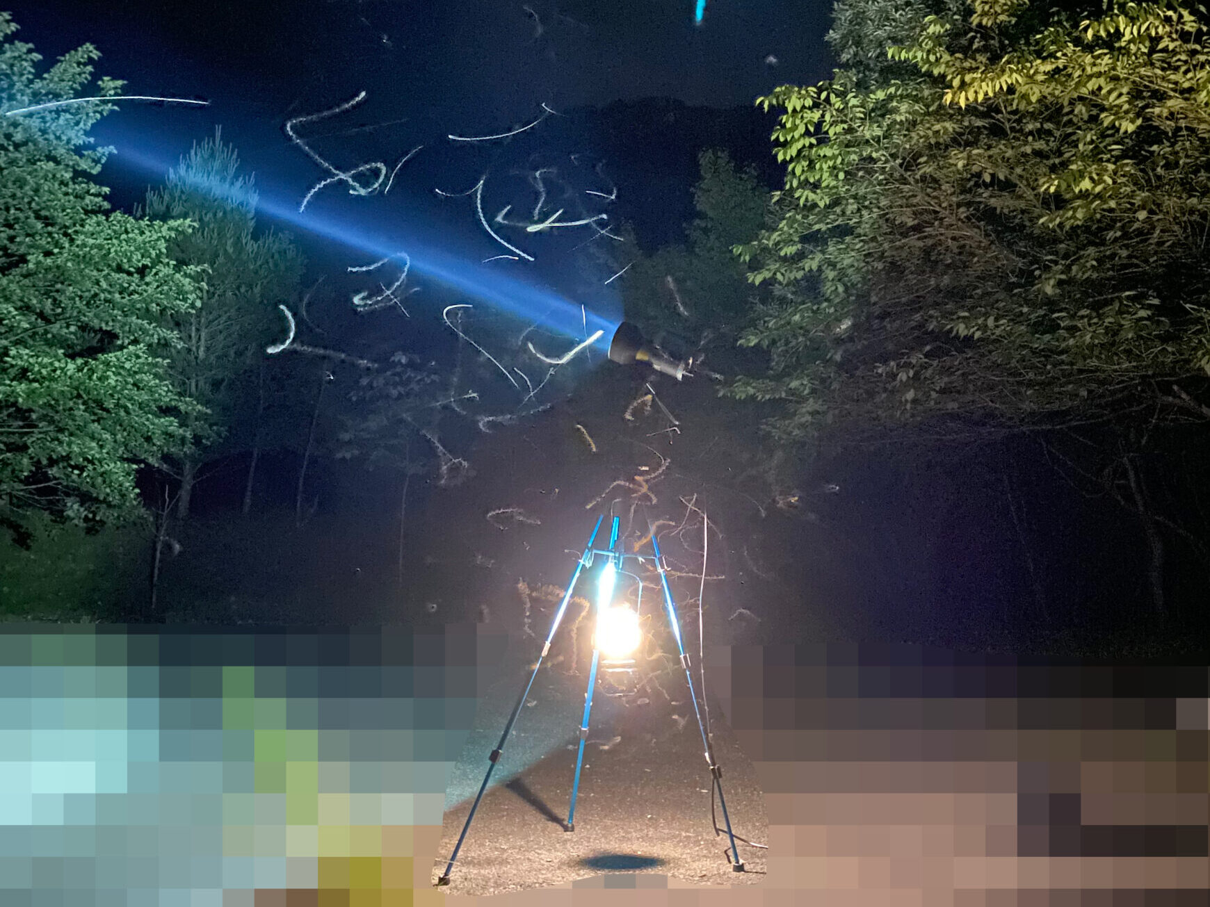 六月のライトラ　その参