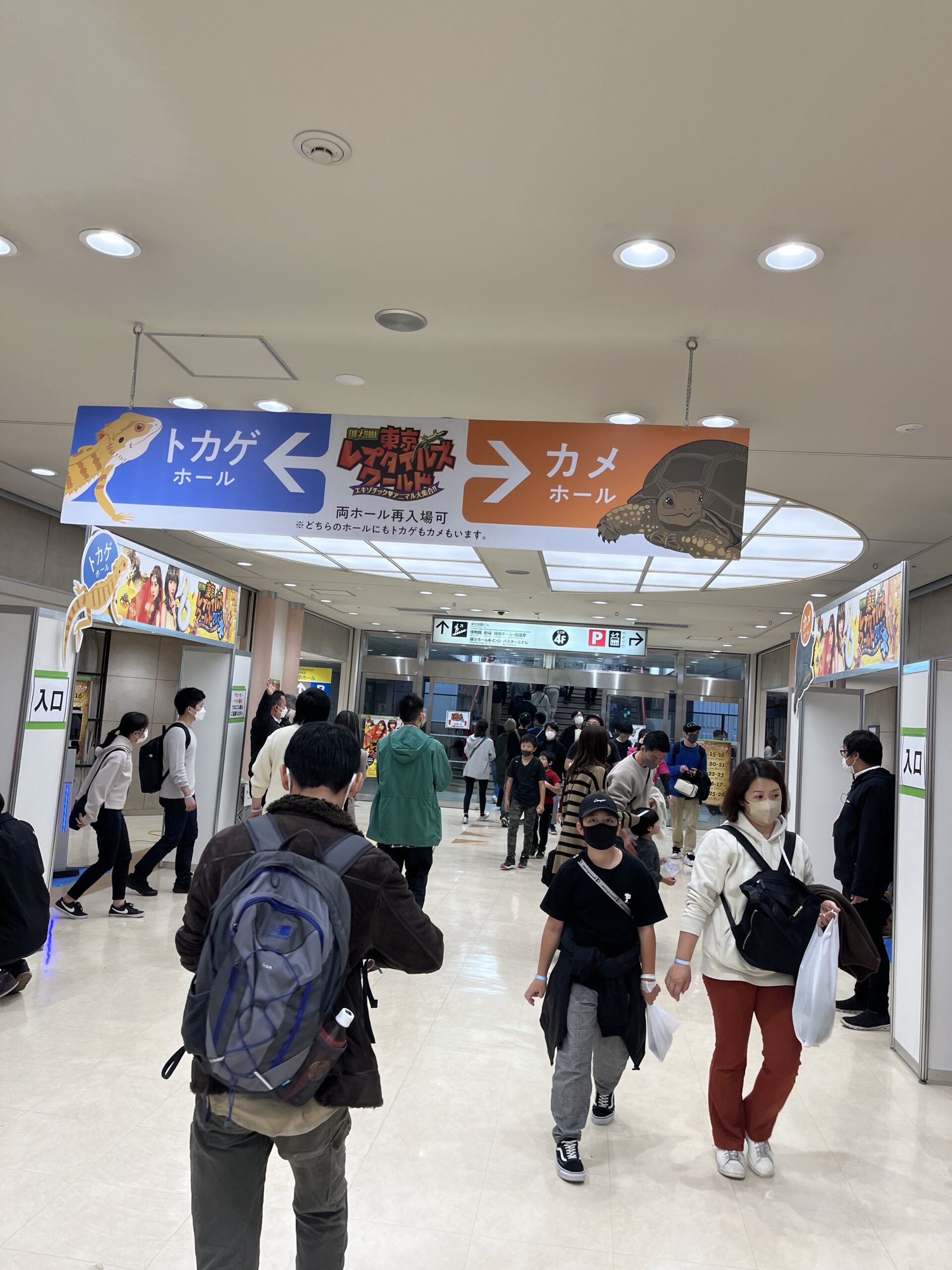 東京レプタイルズワールド2020冬に行ってきました