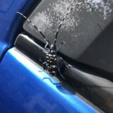【GDA修理シリーズ #01】インプレッサWRXが故障した話